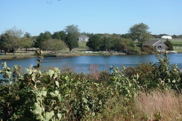 A Carls Wt Way #,west Tisbury, Home For Rent