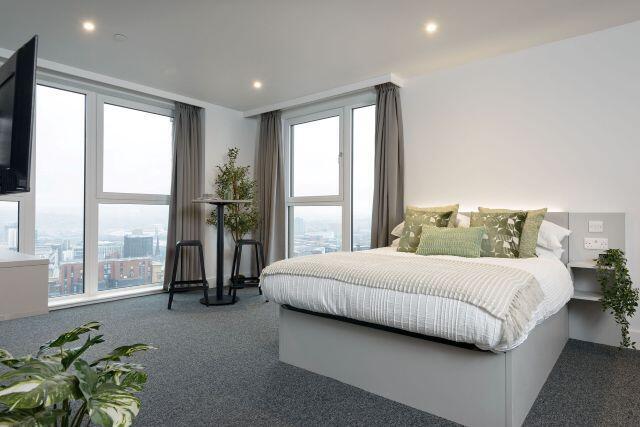 True Sheffield, True Superior Studio,  Tenter Street, Studio Apartment For