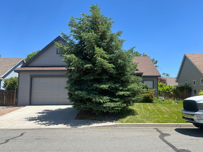 Silver Desert Way, Reno, Preforeclosure Single-family Home
