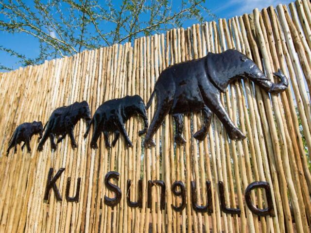 Sable Road  Olifants West Gr Balule Nature Reserve Hoedspruit District, Hoedspruit, Ku Sungula Safar