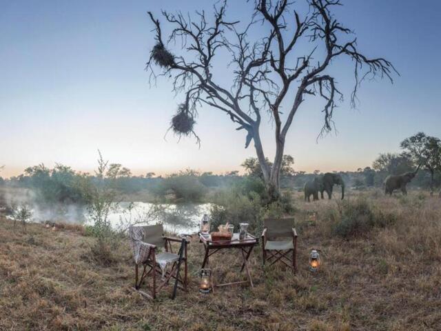 Timbavati Private Nature Reserve, Kruger National Park, Kings Camp Private
