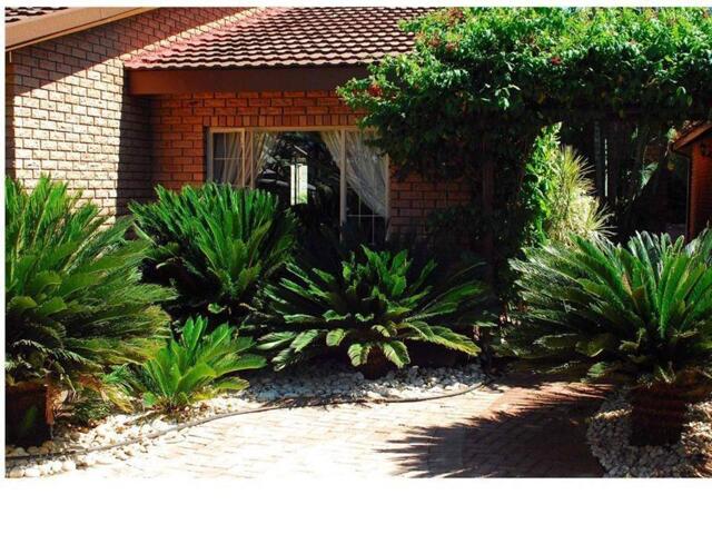 Keerom Street, Malelane, Kruger National Park, Cycas Guest House
