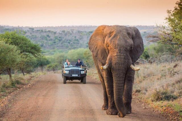 D District Road, Manyoni Private Game Reserve, Mkuze, Leopard Mountain Safari D District Road, Manyoni Private Game Reserve, Mkuze, Leopard Mountain Safari