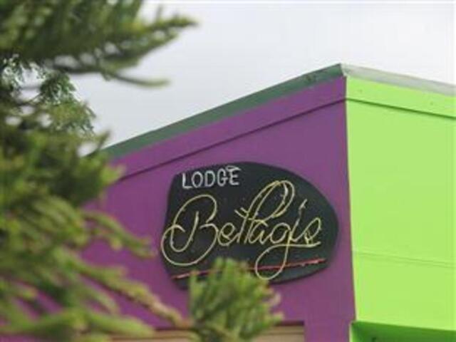 Aloe Street, Fortgale, Mthatha, Lodge Bellagio, Guesthouse/bed Aloe Street, Fortgale, Mthatha, Lodge Bellagio, Guesthouse/bed