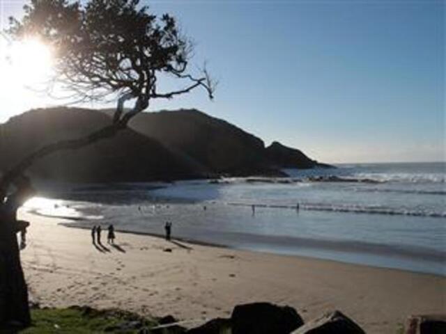 Erf,second Beach Road, Port St Johns, Eastern Cape, Port St Johns, Amapondo Backpackers, Guesthouse/ Erf,second Beach Road, Port St Johns, Eastern Cape, Port St Johns, Amapondo Backpackers, Guesthouse/