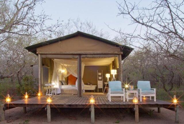 Guernsey Private Nature Reserve, Guernsey Road D, Limpopo, Thornybush Game Reserve, Ngama Tented Saf