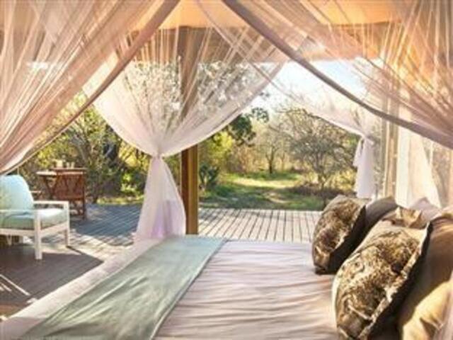 Guernsey Private Nature Reserve, Guernsey Road D, Limpopo, Thornybush Game Reserve, Ngama Tented Saf