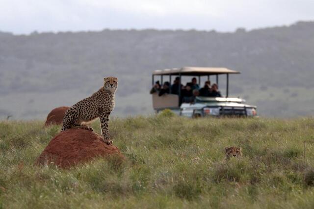 Amakhala Game Reserve, R Karel Landman, Amakhala Game Reserve, Bukela Game Lodge