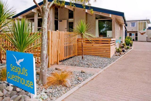 Hinau Street, Tauranga, Seagulls Guesthouse, Hostel