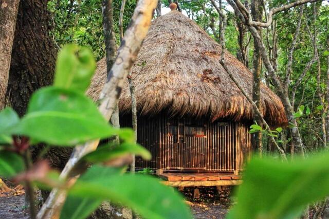 Peucang Island, Ujung Kulon National Park,pandeglang, Nikki Peucang Resort
