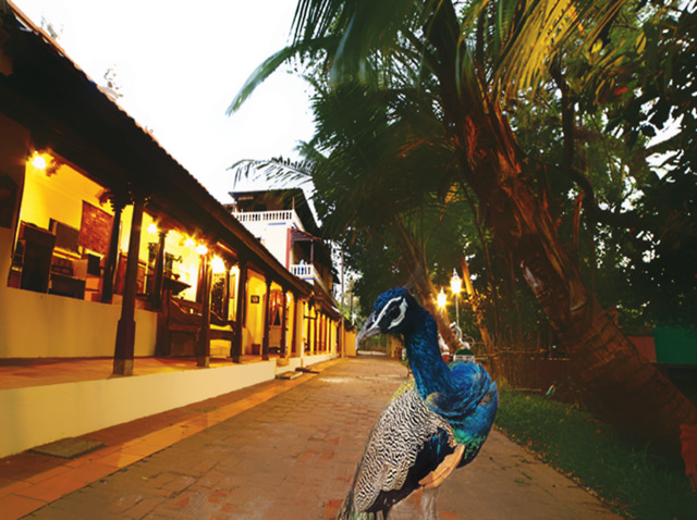 / B - Agraharam, Thimmakudy Village, Baburajapuram Post, Kumbakonam, Indeco Hotels Swamimalai / B - Agraharam, Thimmakudy Village, Baburajapuram Post, Kumbakonam, Indeco Hotels Swamimalai