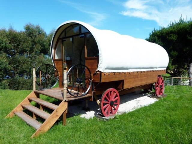 Kowhai Ford Road, Kaikoura, Wacky Stays, Guesthouse/bed