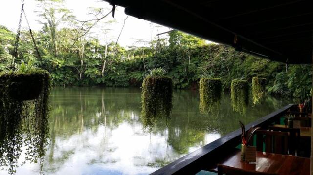 Princess Road, Suva, Rainforest Eco Lodge