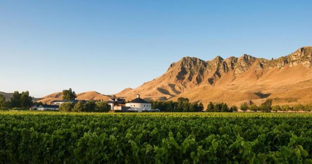 Waimarama Road, Hastings, Craggy Range Vineyard Waimarama Road, Hastings, Craggy Range Vineyard