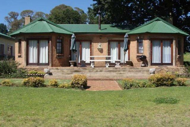 Piet Retief Street, Dullstroom, Fox And Squirrel