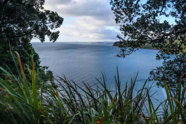 A Okewa Road, Auckland, Auckland Clifftop, Entire
