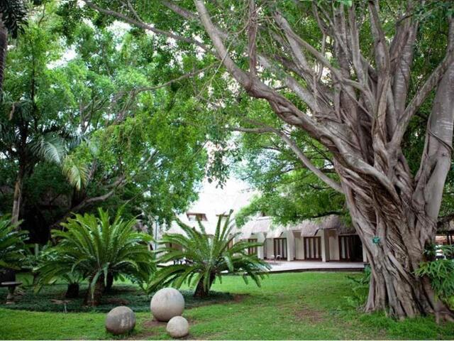Jan Mielie Street, Pongola, Pongola Country Lodge Jan Mielie Street, Pongola, Pongola Country Lodge