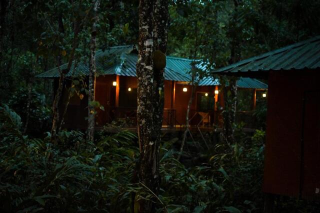 Attapallam, Kumily, Thekkady, Monsoon Retreats By
