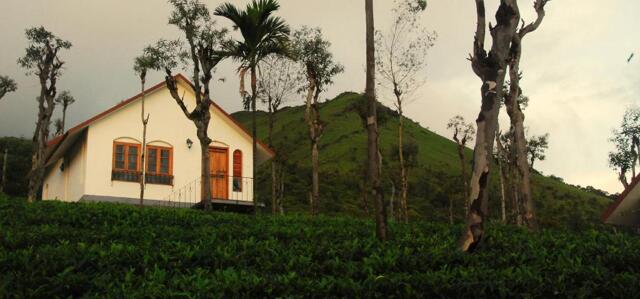 Valiyapaara, P O Achoor, Wayanad, Tea Terrace Vythiri Valiyapaara, P O Achoor, Wayanad, Tea Terrace Vythiri