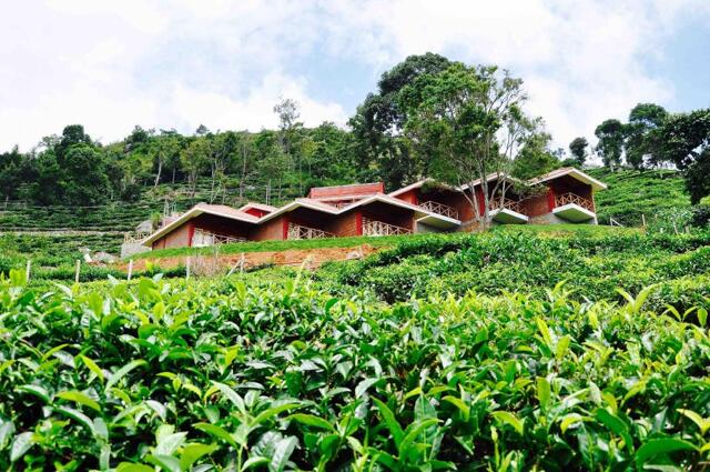 No /, Thappacombai Village, Ooty, Hanging Huts Resort No /, Thappacombai Village, Ooty, Hanging Huts Resort