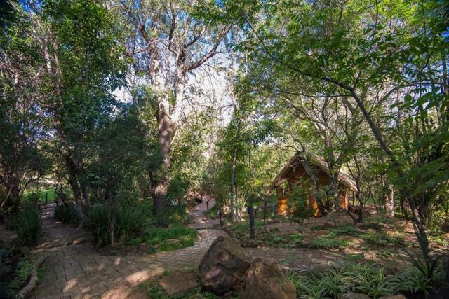 Cnr Pierre Road And Short Street, Wilgespruit, Roodepoort, Johannesburg, Amadwala Lodge, Guesthouse/