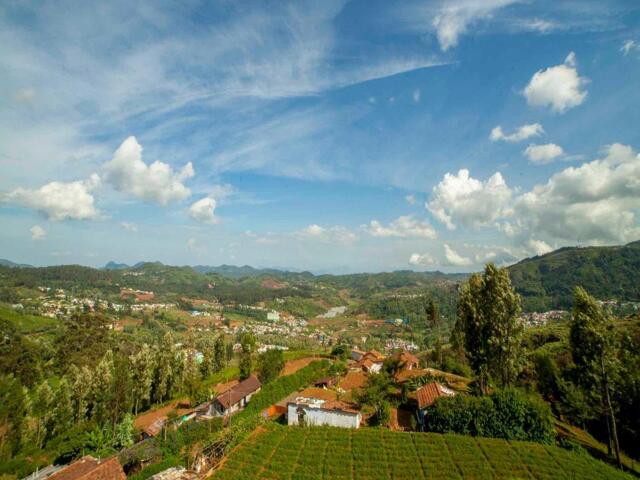/ (a-a) Achanakkal Road, Valley View, Ketti,ooty, Tulips Valley View / (a-a) Achanakkal Road, Valley View, Ketti,ooty, Tulips Valley View