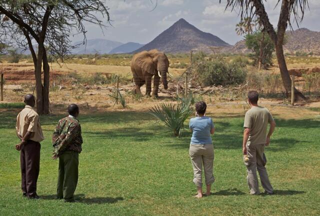 Buffalo Springs Reserve, Samburu National Park, Ashnil Samburu Camp