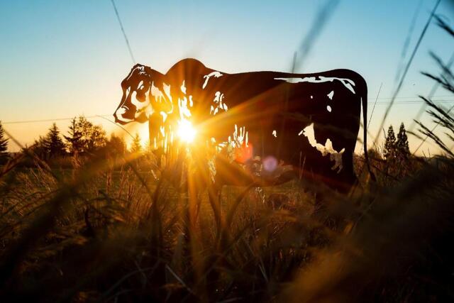 Unnamed Road, Howick, Brahman Hills Weddings Unnamed Road, Howick, Brahman Hills Weddings