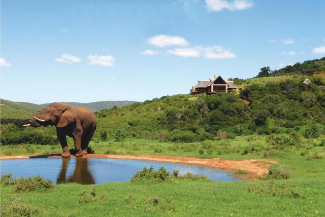 Seventy Kilometers From Port Elizabeth R, Hopewell Game Reserve, Hopewell Private Game Seventy Kilometers From Port Elizabeth R, Hopewell Game Reserve, Hopewell Private Game