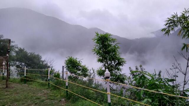 Village - Bagar Malla, Po - Pangot, Distt - Nainital, Nainital, Nature Drops, Tent