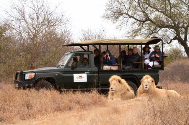 Elandela Private Game Reserve, Eastgate Airport Road, Limpopo Province ., Hoedspruit, Elandela Priva
