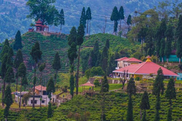 Chamong Tea Estate,chamu Tea Garden, Chamong Chiabari-mountain Retreat Chamong Tea Estate,chamu Tea Garden, Chamong Chiabari-mountain Retreat