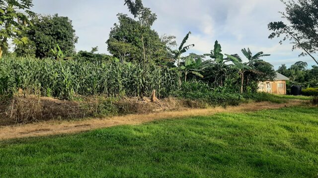 Busunju, Mityana, 1 Acre Land