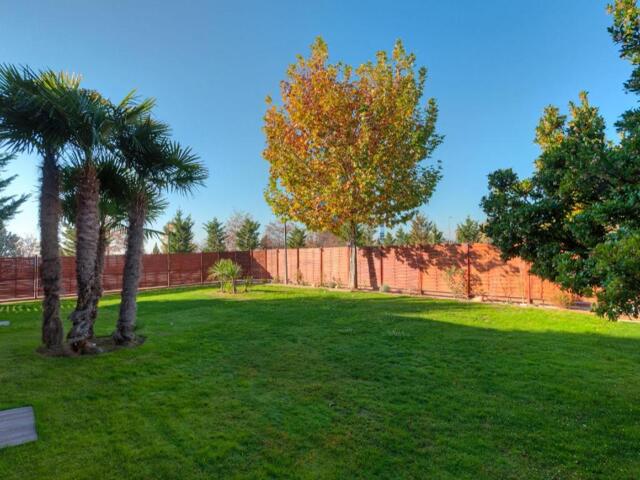 Hotel Guadalajara & Conference Center Affiliated By Melia, Hotel For Rent, Guadalajara