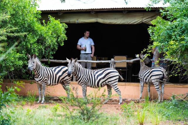 Leopard Walk Lodge, Lodge For Rent, Hluhluwe