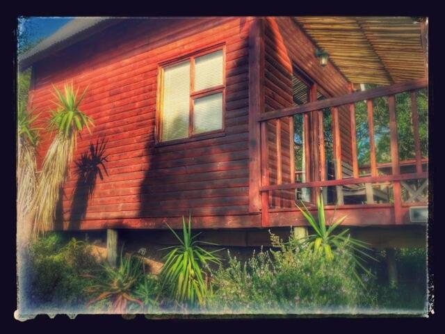 Hotele ea ho Lahlela Majoe, Ntlo ea Baeti/bethe Le Sejo sa hoseng sa Rente, Grahamstown