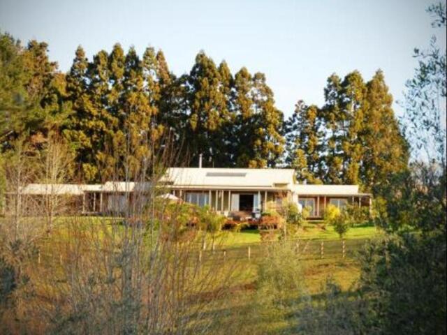 Puketotara Lodge, Lodge For Rent, Kerikeri