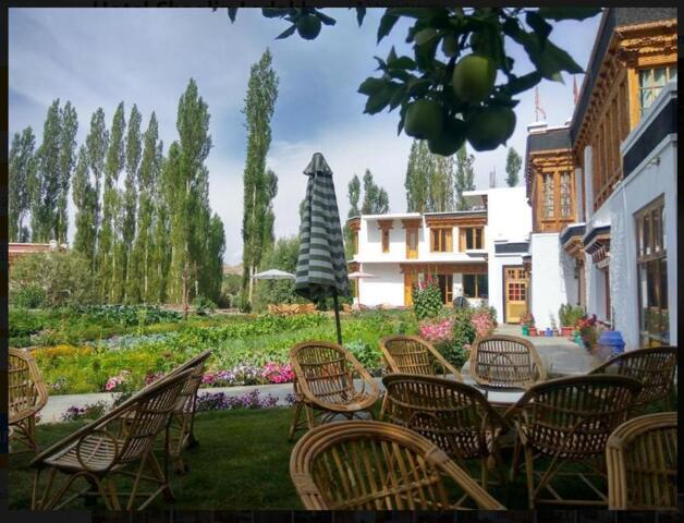 Shaolin Guest House, Guesthouse/bed And Breakfast For Rent, Leh