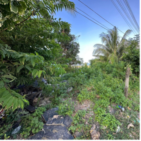 Tananas, San Fernando, Lot For Sale