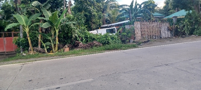 Balibagan Este, Santa Barbara, Lot For Sale Balibagan Este, Santa Barbara, Lot For Sale