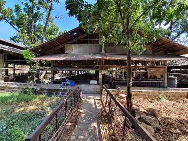 Poblacion, Pandi, Lot For Sale