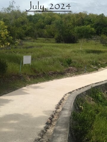 Catarman, Dauis, Lot For Sale Catarman, Dauis, Lot For Sale