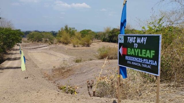 Poblacion East, Santa Ignacia, Lot For Sale Poblacion East, Santa Ignacia, Lot For Sale