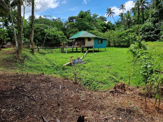 Nagsinamo, Lucban, Lot For Sale