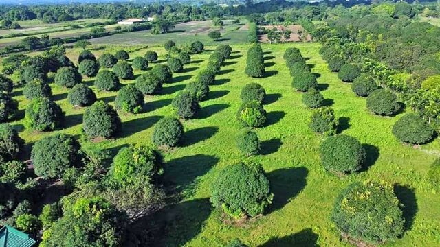 Castillejos, Lot For Sale