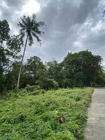 San Vicente, Baclayon, Lot For Sale