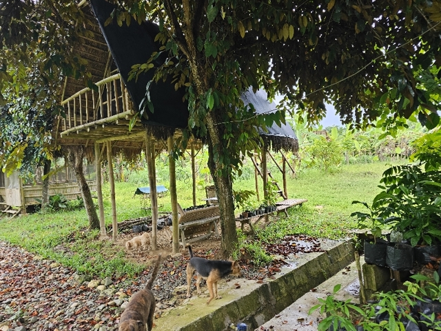 Nangka, Balamban, Lot For Sale