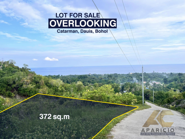 Catarman, Dauis, Lot For Sale Catarman, Dauis, Lot For Sale