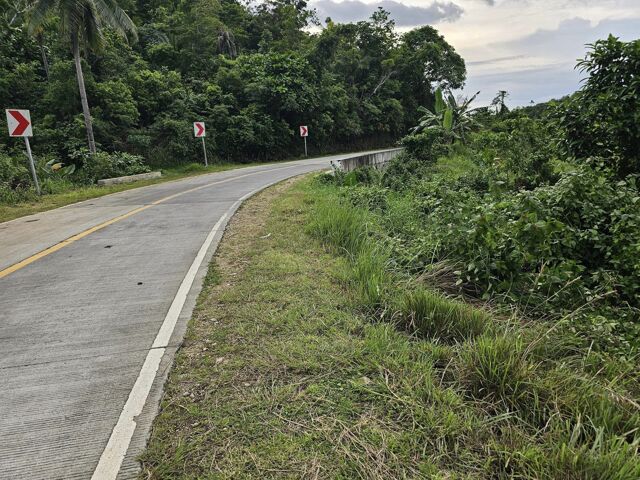 Dagnawan, Inabanga, Lot For Sale Dagnawan, Inabanga, Lot For Sale