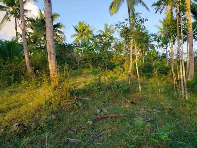 Esperanza, Aloguinsan, Lot For Sale